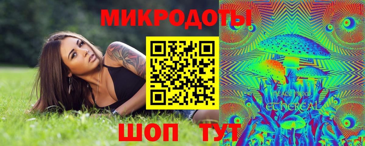 Псилоцибиновые грибы Psilocybe Азнакаево
