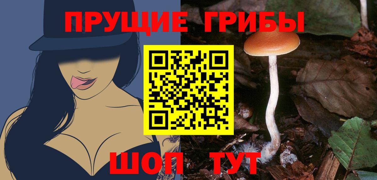 Азнакаево  Псилоцибиновые грибы мухоморы  Псилоцибиновые грибы Psilocybe  Вход с VPN 